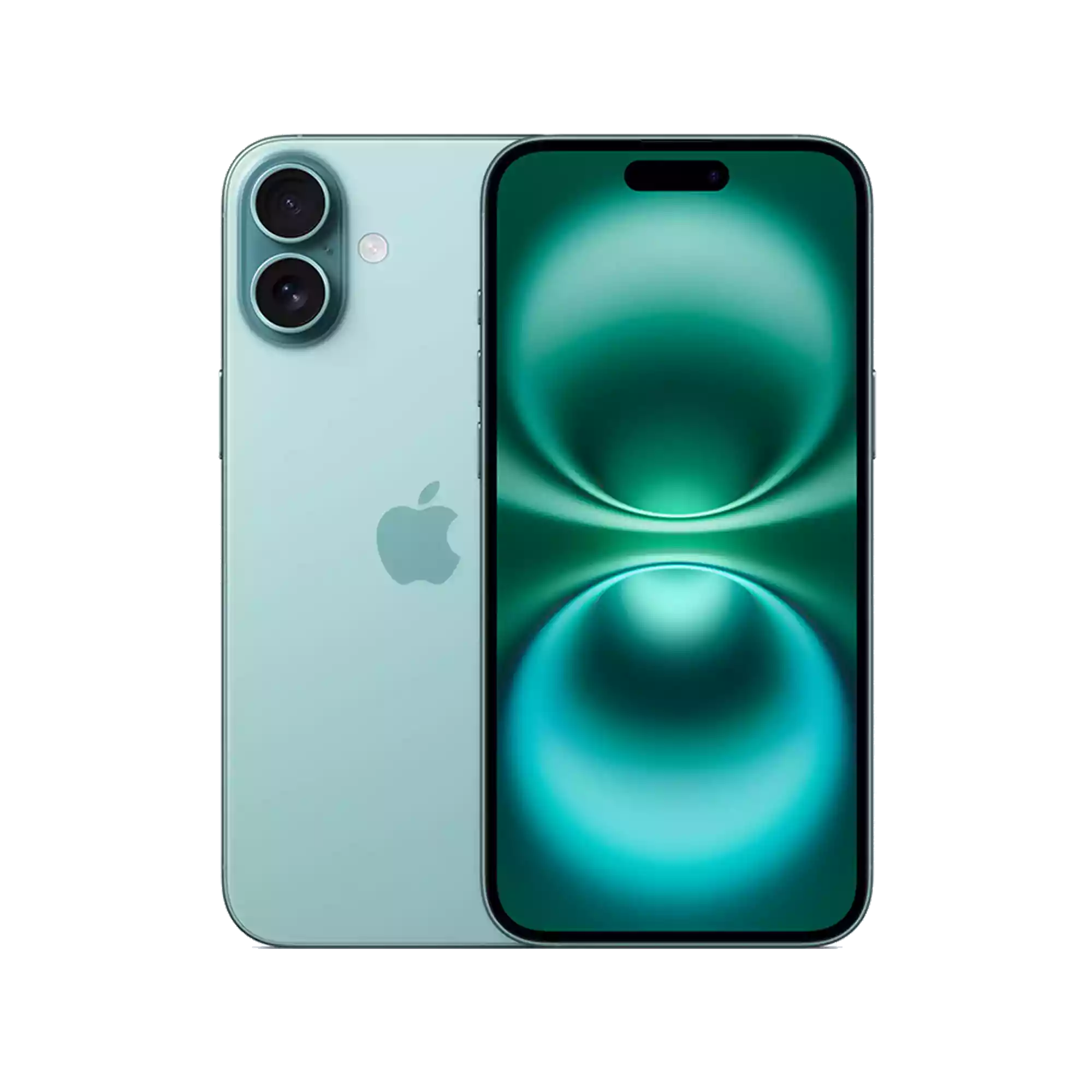 iPhone 16 Plus