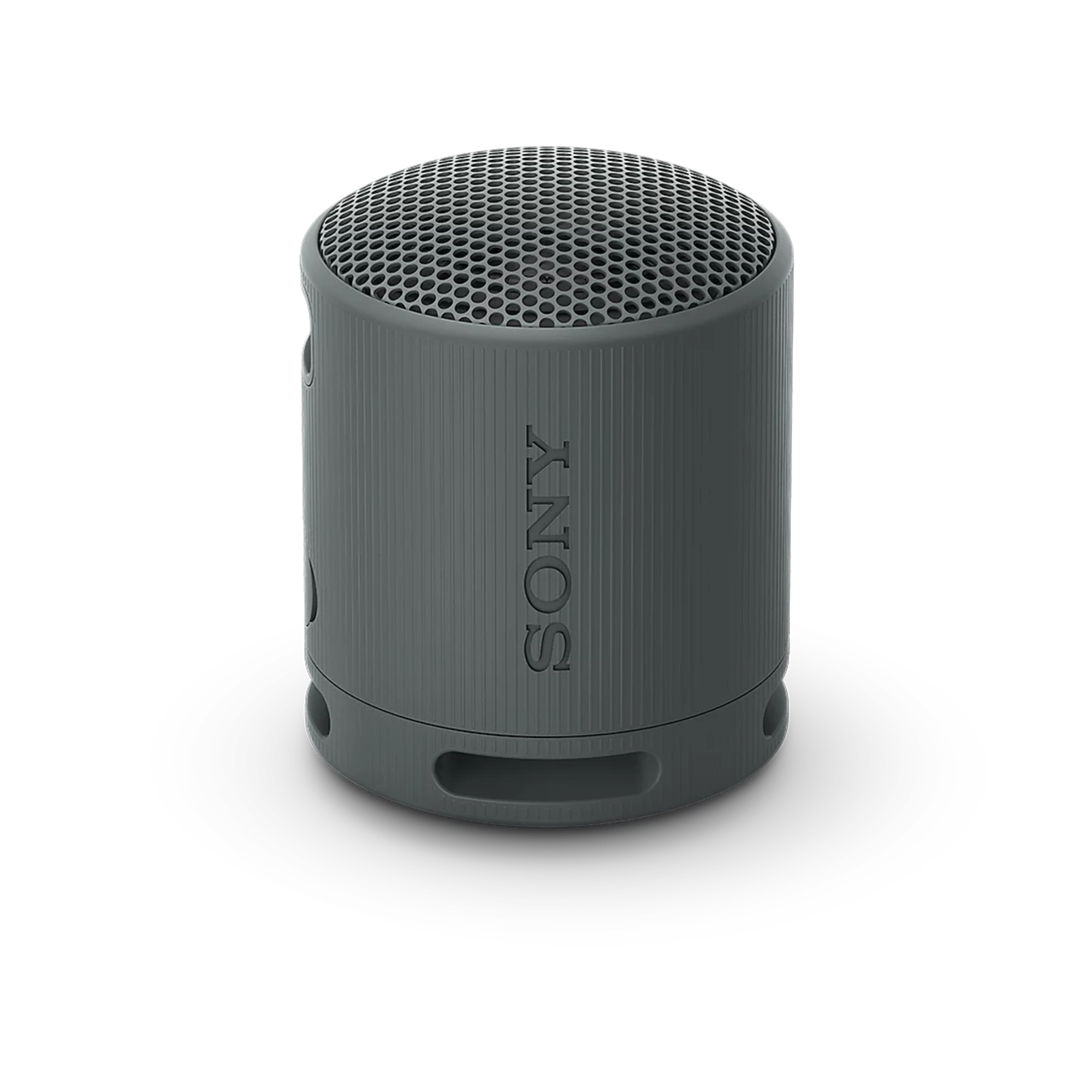 Sony XB100 Portable Wireless Speaker