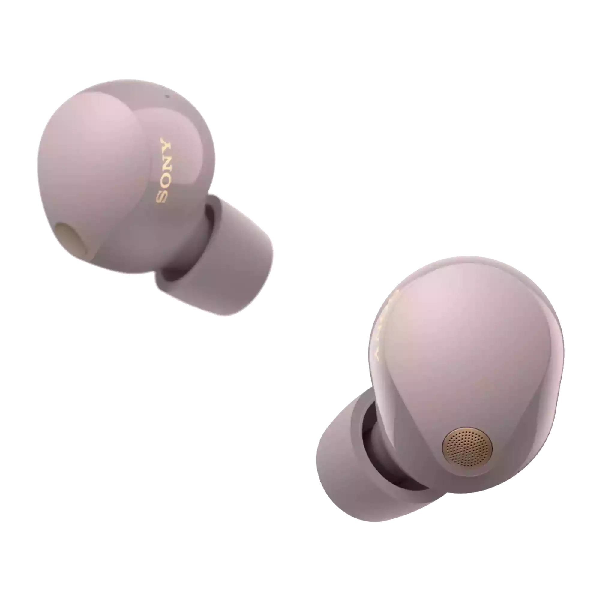 Sony WF-1000XM5 Wireless Noise Canceling Earbuds